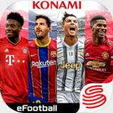 OPE体育正网注册